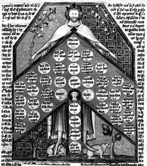 Decretalium : Tree of kinship