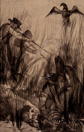 Voyage de Louis Isidore Duperrey avec Dumont d'Urville, scène de chasse