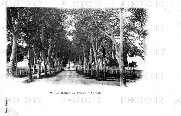 Batna, l'allée d'Aumale