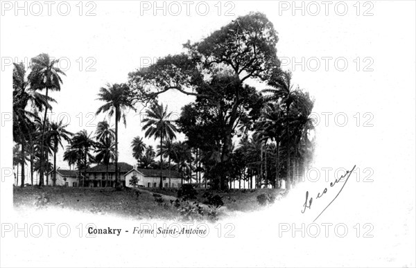 Conakry, ferme Saint-Antoine