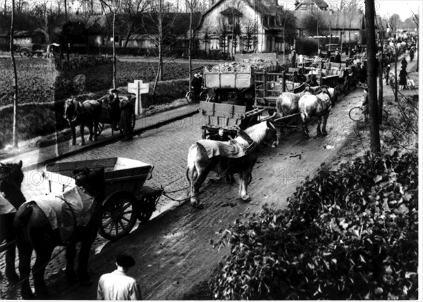 Manifestation d'agriculteurs