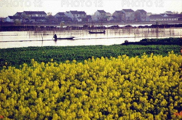 Lake Taihu