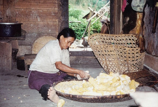 Woman working, Muotuo