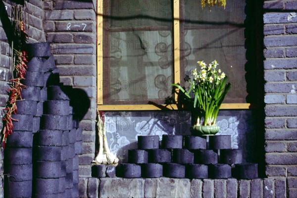 Window, dwelling at Beijing
