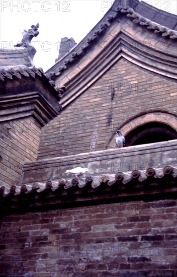 Residential houses, Pingyao