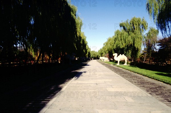 The Ming Tombs, the Ming 13 Mausoleums, the Tombs of Ming Dynasty, Shendao, the Way of Spirit