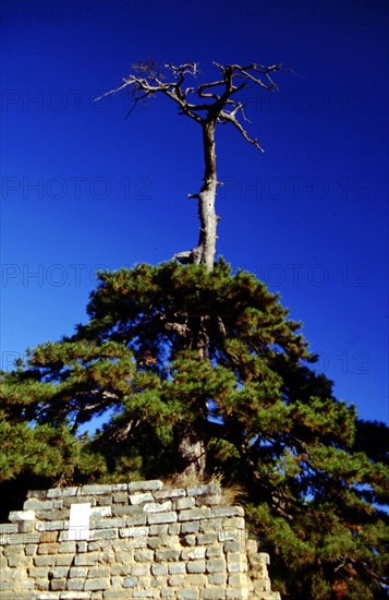 Tombeaux de la dynastie Ming, les 13 mausolées Ming, Qingling