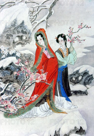 Chinese famous classic work: "The Dream of the Red Chamber"