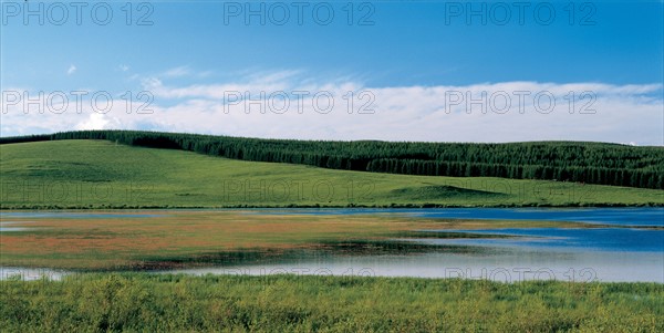 Landscape, grassland, China.