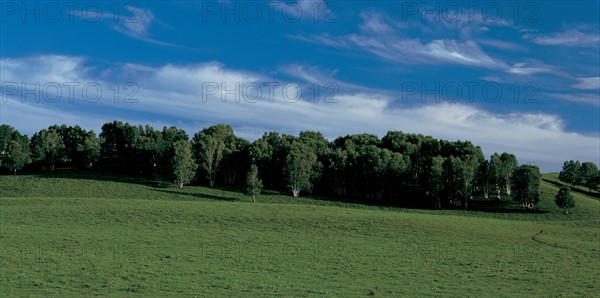 Meadow landscape, China