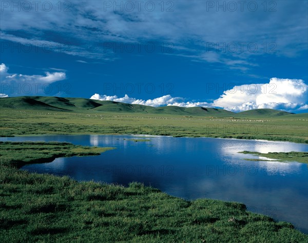 Pasture and lake, China