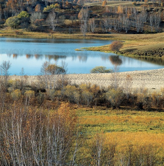 Meadow and lake landscape, China