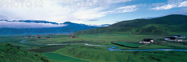 Prairie dans la ville de Shangri-la, le comté de Zhongdian, Province du Yunnan, Chine.