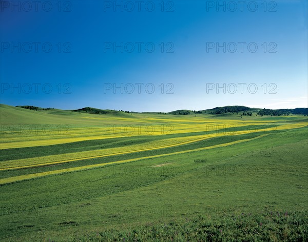 Prairie, province du Hebei, Chine