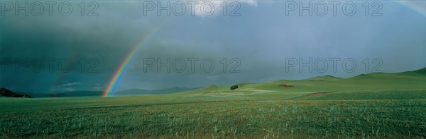 Grassland in Hebei Province, China
