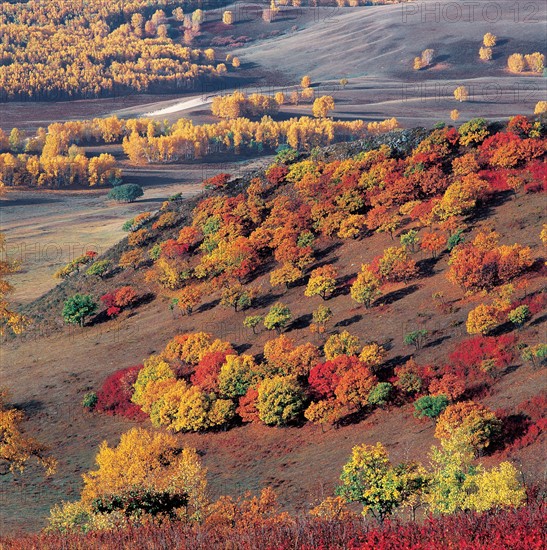 Bashang, province du Hebei, Chine