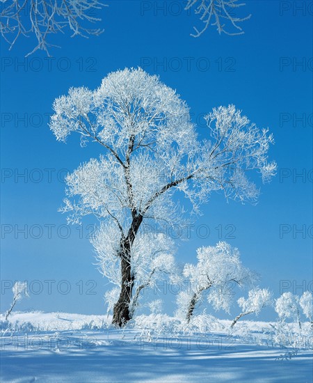 Snowy landscape, Northeast China