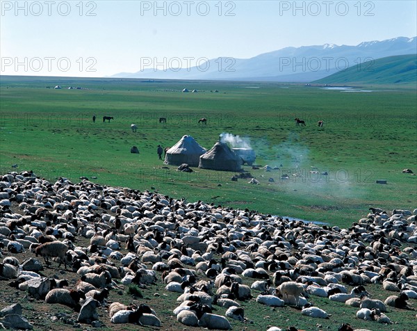 Prairie Nalati, province du Xinjiang, Chine