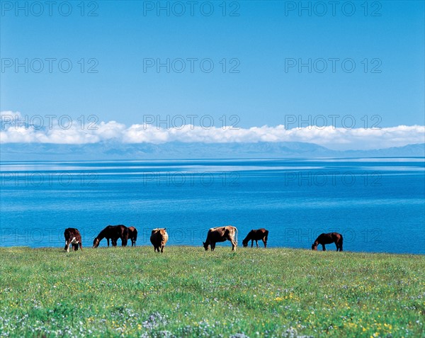 Sailimu Lake, Xinjiang Province, China