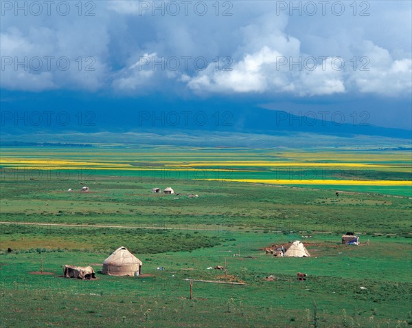 Prairie, province du Xinjiang, Chine