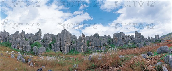 Stone Forests, Yunnan Province, China