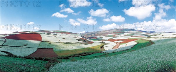 Terre rouge à Dongchuan, province du Yunnan, Chine