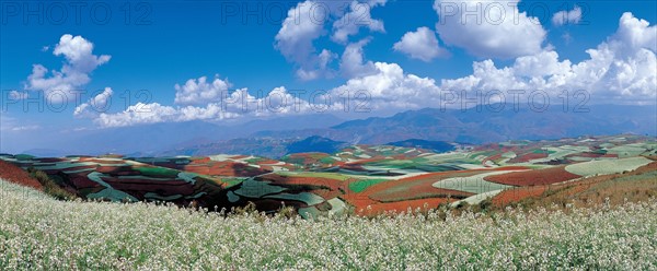 Terre rouge de Dongchuan, Yunnan Province, Chine