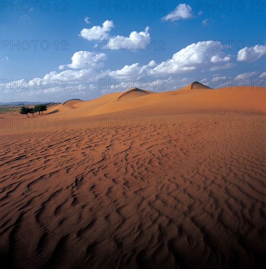 Sinkiang Autonomous Region, Takelamagan Desert, China