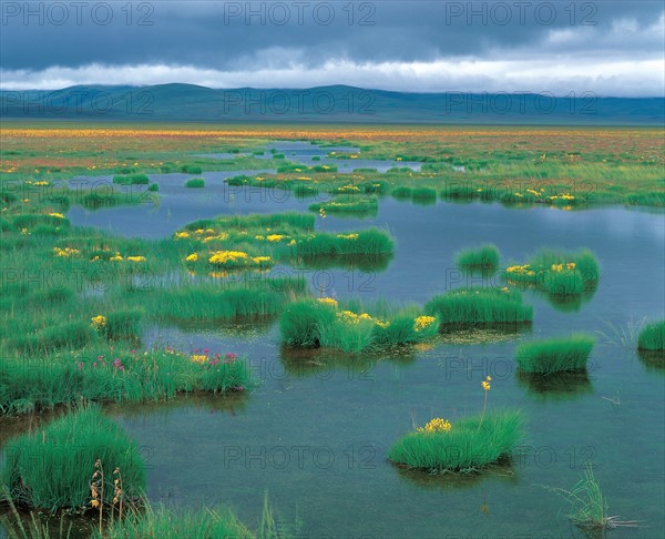 LuQu, Gansu Province, China