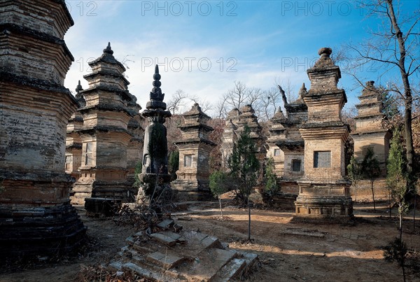 Forêt de pagodes, Temple Shaolin, province du Henan, Chine