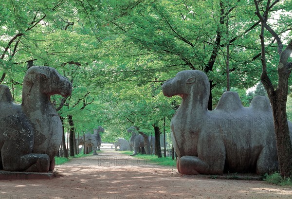 Nanjing, Ming Tomb, China