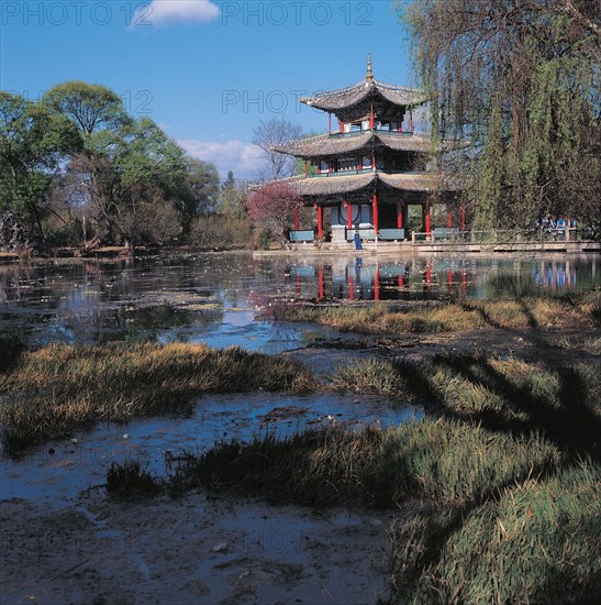 Pagode au bord d'un marécage, Chine