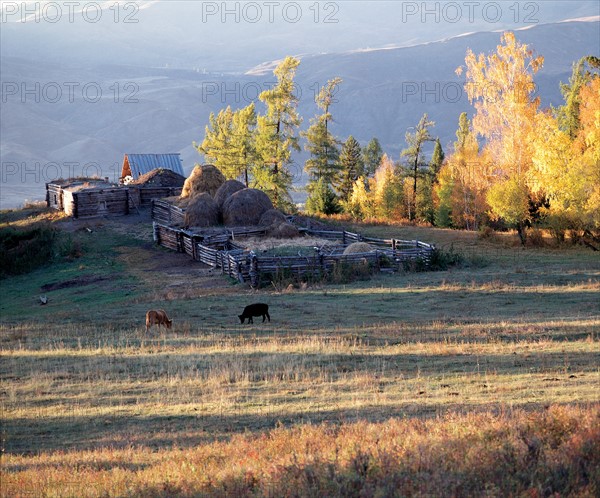 Ferme dans la région autonome du Xinjiang, Chine