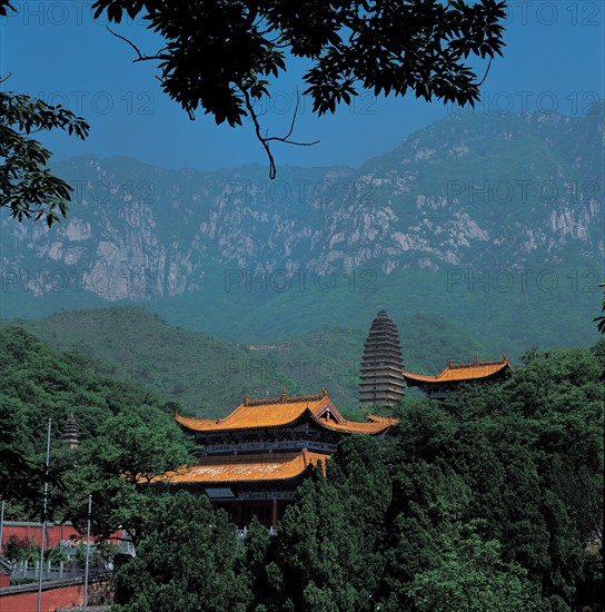 Pagode dans la province du Henan, Chine