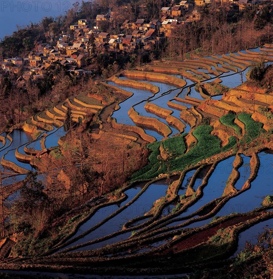 Reliefs karstiques, Chine