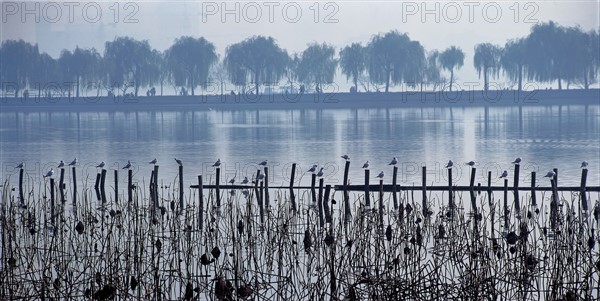 West Lake, Bai Causeway, China