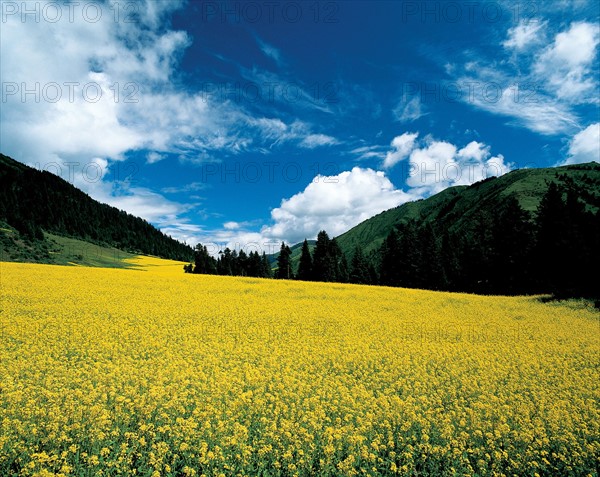 Vallée encaissée, Chine