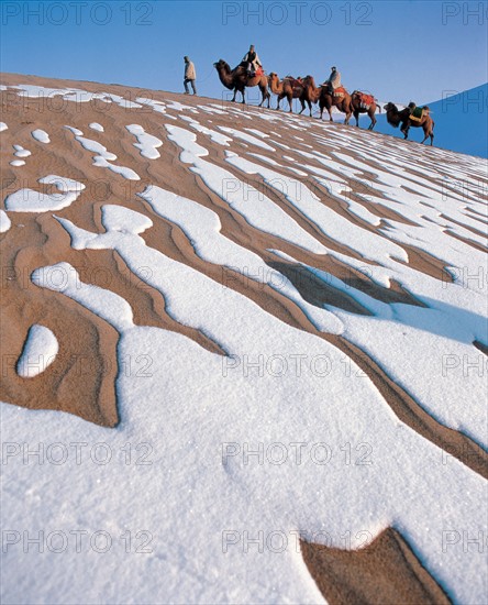 Caravan in the desert, China