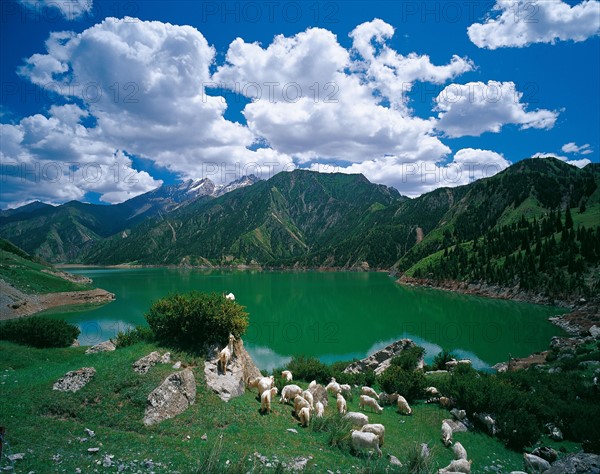 The Dalong pool, China