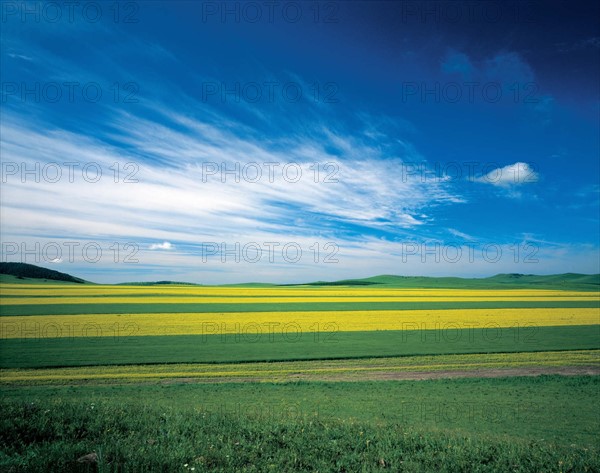 Glassland of Bashang, Hebei, China