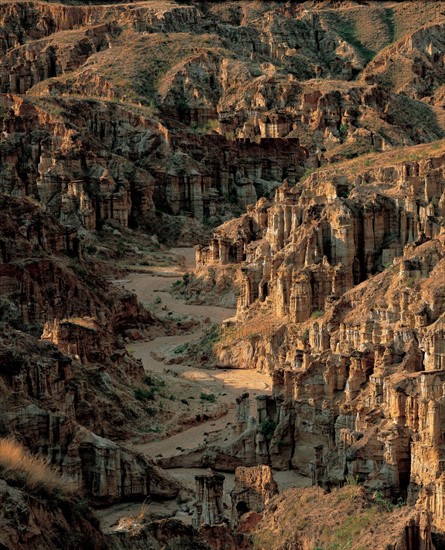 Zhima clay forest in Yunnan, China