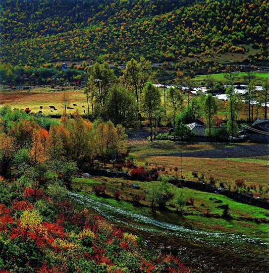 The tibetan village on the meadow of Kangding,Sichuan Province,China