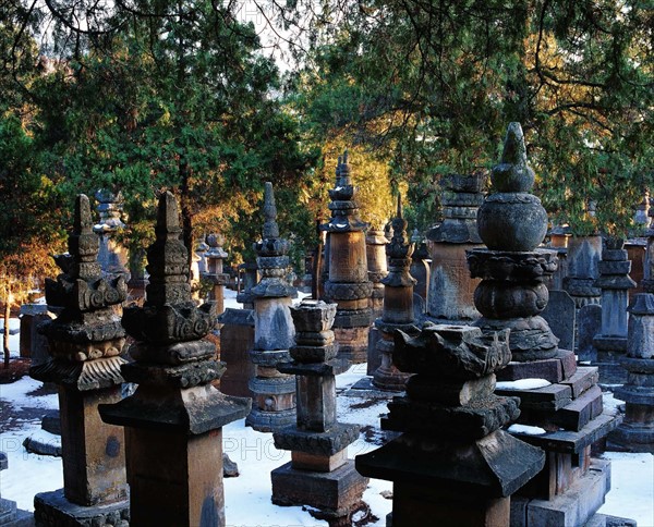 The Buddhist stone sculptures of Lingyan Temple,Shandong Province,China