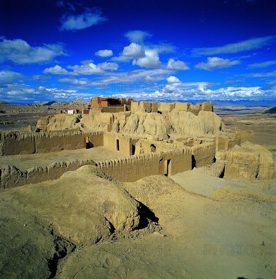 the Clay Forest of Zanda?Tibet,China