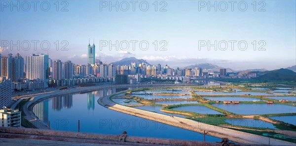 The cityscape of Shenzhen,China