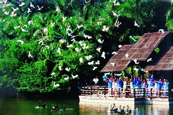 peace doves are being released flying by a group of children,Guangzhou,China