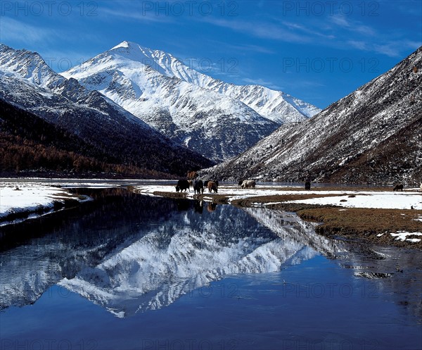 Hailuogou Glacier, China