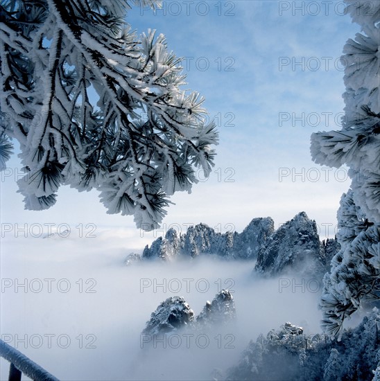 Les Monts Huangshan enneigés, Chine