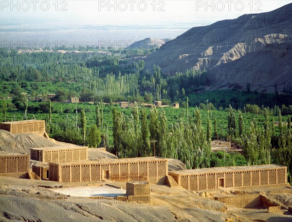 a village at the Grape Valley,Turpan,Sinkiang Province,China