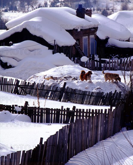 the snow-covered house at Shuangfeng Forestry Centre,Mudanjiang,Heilongjiang,China